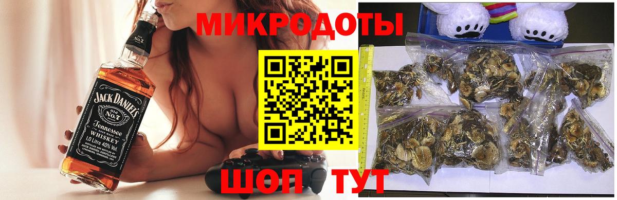 Псилоцибиновые грибы Psilocybine cubensis Нижневартовск