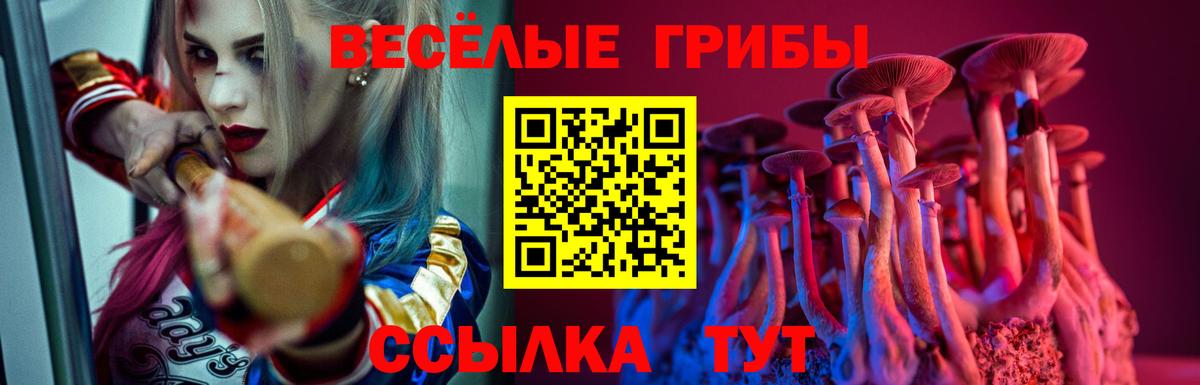 Нижневартовск  Псилоцибиновые грибы Cubensis  Вход с VPN 
